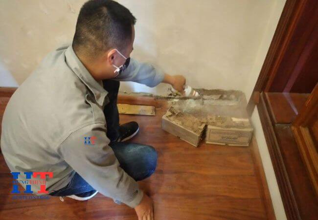Dịch Vụ Diệt Mối Tại Quận 7  Giá Rẻ