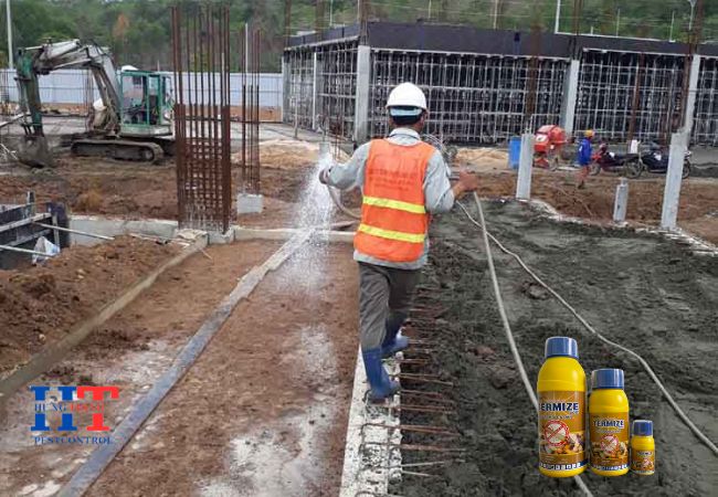 Dịch Vụ Diệt Mối Tại phường An Lạc TP. Hồ Chí Minh